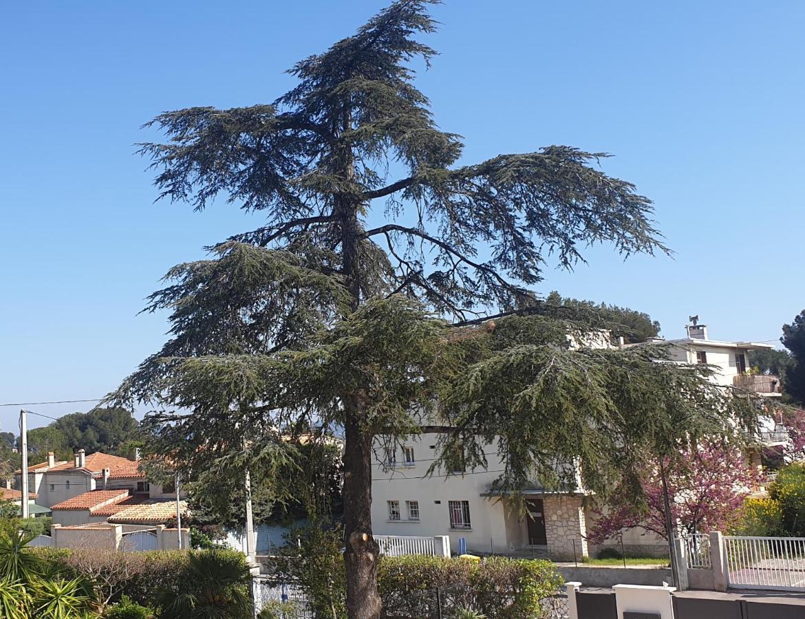 Les Vagues Bleues Apartment La Ciotat Ngoại thất bức ảnh